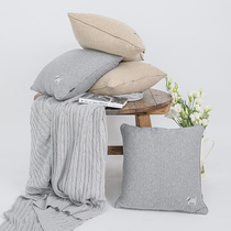 Knitted embroidery pillow living room sofa cushion pillow fabric Home modern simple backrest square removable and washable