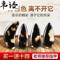 Guzheng nail Adult groove Professional playing grade shaking finger Guzheng prosthetic nail Double-sided arc Tortoiseshell beginner child