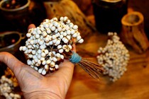 zakka Grocery Dry Flowers White Owl Fruit Home decoration Home Vase furnished slow life wild fruit