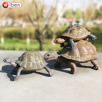 Simulation Galapagos tortoise model grass tortoise tortoise tortoise children cognitive toy decoration props