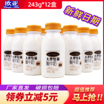 Eurasian milk Dali pasture low temperature yogurt Yogurt 243g * 12 bottles of original cooked yogurt childrens student milk