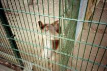 The sample sheet: the beauty can da minolta riva 75w