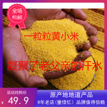 In 2020 new yellow millet was planted without fertilizer on the slopes of Shanxi farmers  new small yellow rice moon rice fat rice 5 pounds