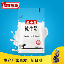 Day Runjia Lijiang Xinjiang small white pure milk transparent small white bag full fat sterilization milk 180g16 bag box Xinjiang No Add