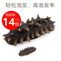 Dalian Sufa dried sea Cucumbers Wild 50g dry light dry Liao ginseng Special offer package dried sea cucumbers business travel ginseng is convenient