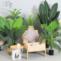 Large Nordic simulation plant landing bird of paradise Bonsai Interior decoration Fake potted green plant ornaments Traveler banana tree