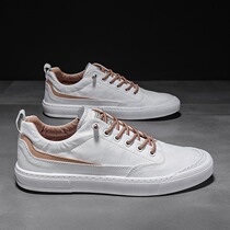 2021 new summer breathable canvas mens shoes casual white flat shoes driving cloth shoes a pedal lazy trendy shoes