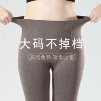 plus size pantyhose 200kg fat autumn winter pantyhose thickened fleece high waist waisted waist warm bottoming socks