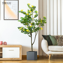 Nordic Pins Emulation Plant Potted Yellow Poplar Tree Living Room Indoor Fake Green Plant Large Bonsai Ground Pendulum decoration