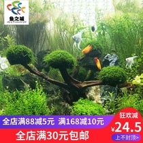 Fish City Water plant Water plant Live moss tree Live moss wood live grass tank landscaping Moss tree water plant live Moss