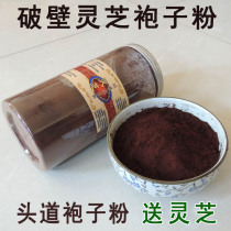 2020 pure powder Northeast Ganoderma lucidum spore powder 500g Alpine Ganoderma lucidum robe powder self-produced Head Road powder