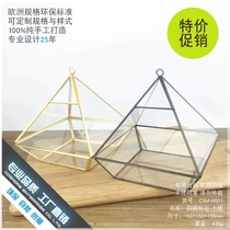 Four-sided Diamond Glass Flower House eternal flower Moss micro landscape transparent creative multi-meat flower pot