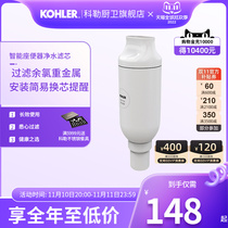 Kolschans Intelligent Seat toilet filter purification core 1250837-SP compatible seating instrument