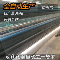 Agricultural coarse orchard fruit tree bird net blueberry cherry grape fish pond farming Sky Net anti hail nylon balcony