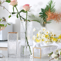 Light luxury glass vase Phnom Penh transparent hydroponic flower arrangement bottle decoration creative home living room dining table decoration ornaments
