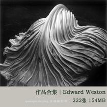  381 Edward Weston Edward Weston photography works black and white photography picture material