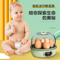 Weiqian mini science and education incubator Chicken duck and bird eggs Small childrens egg hatcher Household intelligent constant temperature hatching box