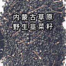 Natural Leek seed Horqin grassland Alshan wine wine making tea male durable new product 500g recommended