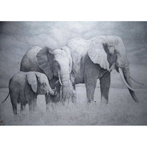 Liang Jianpings Attachment paper new pen drawing