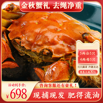 Spot female crab male crab special hairy crab fresh crab Qingshui Lake crab live seafood aquatic products gift box flagship store