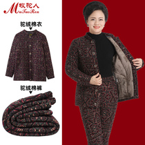 Warm underwear for the elderly plus velvet thickened and fat camel velvet warm suit Grandma and mother loaded cotton clothes cotton pants