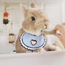 Saliva Towel Scarves Scarf Bib Woven Dwarf Rabbit Wee Rabbit Enclosure Neck Enclosure Accessories Pet Triangle Scarlet Dog Cat Clothes