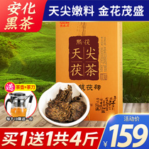 Black tea Hunan Anhua Anhua Black Tea Fu Brick tea Authentic Ximuyuan Jinhua Xipu Anhua Jinhua Fu Tea