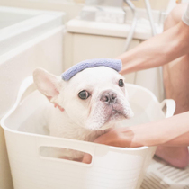 Bago bath wrestling pet tub dog bath cat bath tub small dog wash tub dog kennel toy storage basket