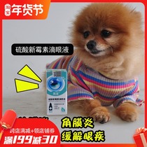 Neomycin sulfate eye drops pet dog cat eyes anti-inflammatory eye drops conjunctivitis keratitis keratitis