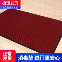Disinfection floor mat Doormat Door entrance door Staircase corridor Kitchen Absorbent non-slip carpet floor mat Foyer Bathroom