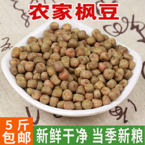 5 catties of maple beans to feed pigeons grain pigeon food peas and beans pigeon food with bird food