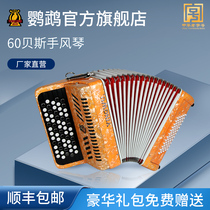 Parrot brand YW-672 accordion 2 rows of springs 62 keys 60 bass BS beginner exam professional playing instrument