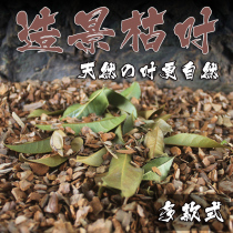 Climbing box landscape reptiles natural dead leaves dry leaves tree Vine mat decoration lizard frog snake to avoid rainforest original ecology