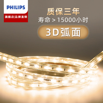 Philips Lights with LED Lights Living Room embedded self-adhesive cob soft line lamp ceiling flexible 220V ambient decoration