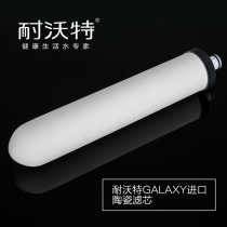 Newote embedded water purifier water dispenser consumables imported ceramic filter element