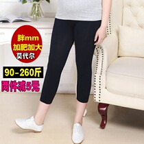Xia Gafei Steps Up Code Seven Pants Woman Fat mm2020 New Display Slim Modell Elastic Thin outside wearing underpants
