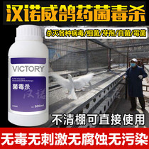 Pigeon disinfectant pigeon medicine bacteria poison disinfectant loft pigeon racing carrier pigeon medicine young pigeon shed supplies