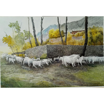 Fan Xianghous Taihang People paper color new pen drawing with group photo