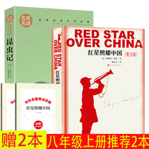 Gift 2 This examination is a full set of 2 Insect Notes Red Stars Shine in Chinas 8th grade Upper Book Junior High School Taught Edition World Literature Famous junior high school students reading books Books Peoples Literature Publishing House Middle School