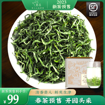 (2023 new tea pre - sale) Ming front of the bright spring tea fragrant green tea sprout tea