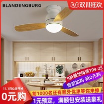 Nordic fan light led modern simple living room ceiling fan restaurant electric fan chandelier home lighting Net red bedroom light