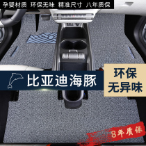 2021 BYD Dolphin Special Silk Ring Footbed Car Retrofit Decoration Interior Accessories Retrofitting to Explode