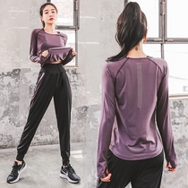 Sports suit women loose thin casual size elastic quick-drying professional beginner gym running yoga suit