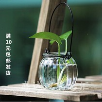 Star origami glass bottle drifting bottle hydroponic ocean bottle wishing bottle Starry Sky bottle creative Net red bottle