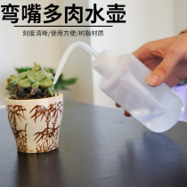Special for succulent plants pointed mouth small watering bottle gardening flowers fleshy flowers water artifact
