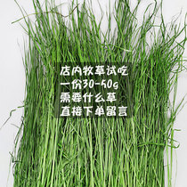 In-store Dry Grass Trial Eating Clover Grass Timour South-west Ti North Timei Timeti 30-50g a copy of the