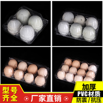 Medium egg box egg tray plastic disposable packaging box outdoor shockproof egg tray