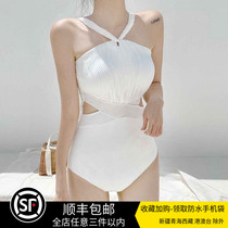 INS Small Red Book Sexy Conjoined Fairy Temperament Resort Wind Swimsuit Woman Size Chest Display Slim Soak Spa Swimsuit