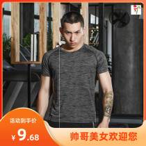 Quick-drying T-shirt female breathable elastic running quick-drying clothes male couples quick-drying fitness