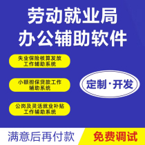 Labor employment entrepreneurship talent service system small guaranteed loan government office work auxiliary software ERP